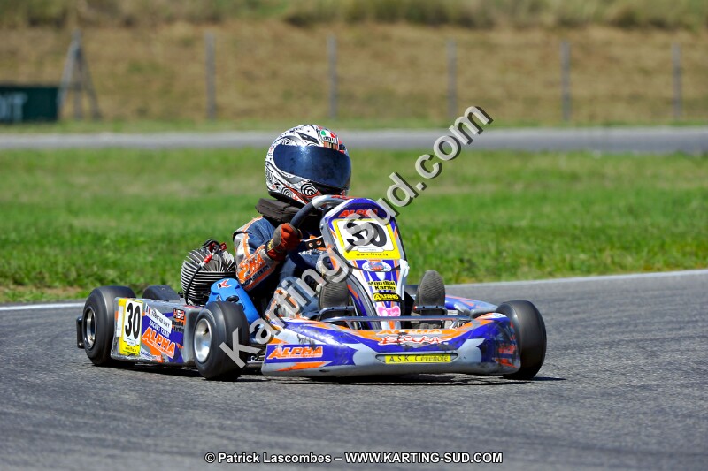 DSC_ (1466).jpg